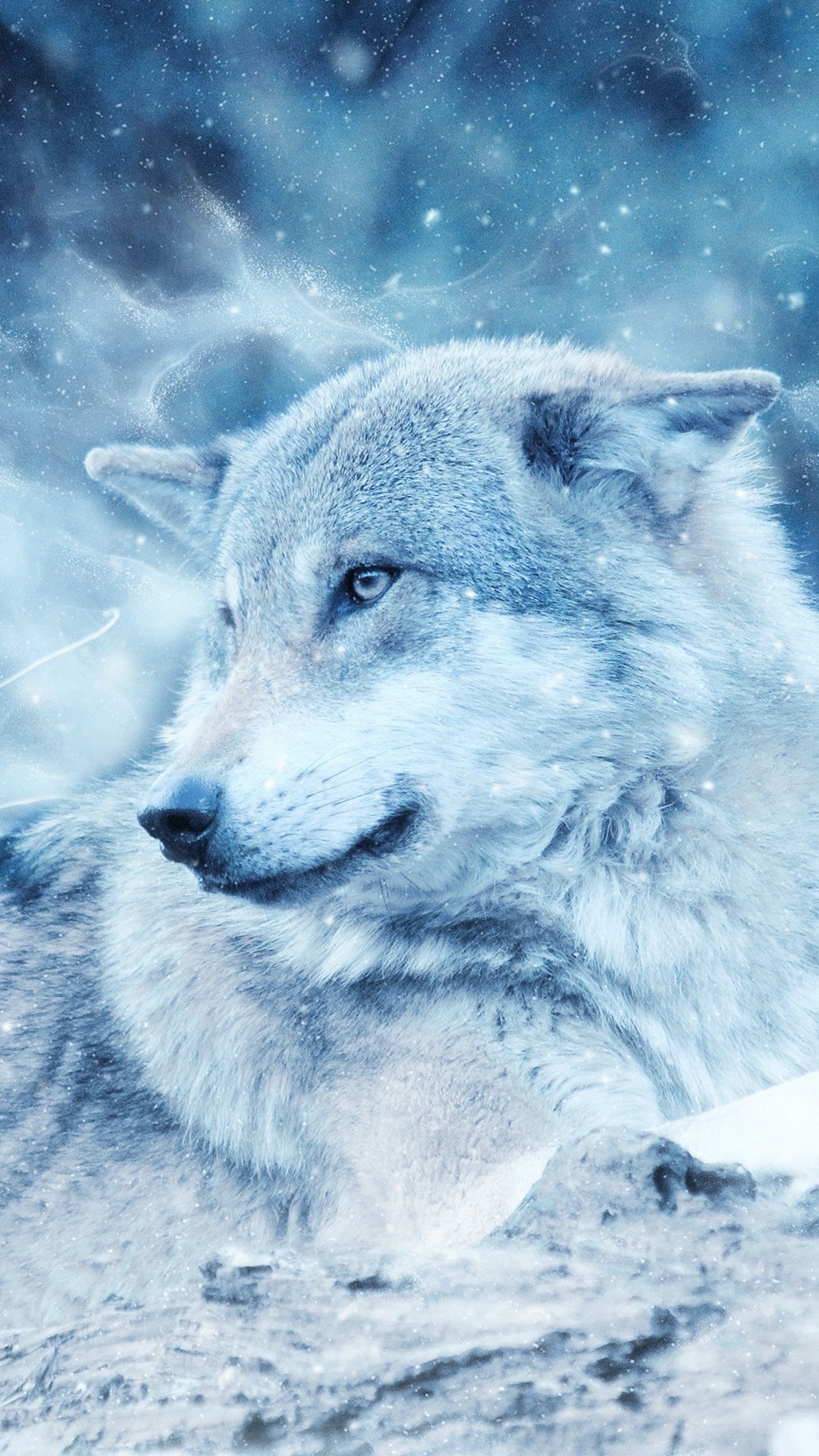 White Wolf Wallpaper