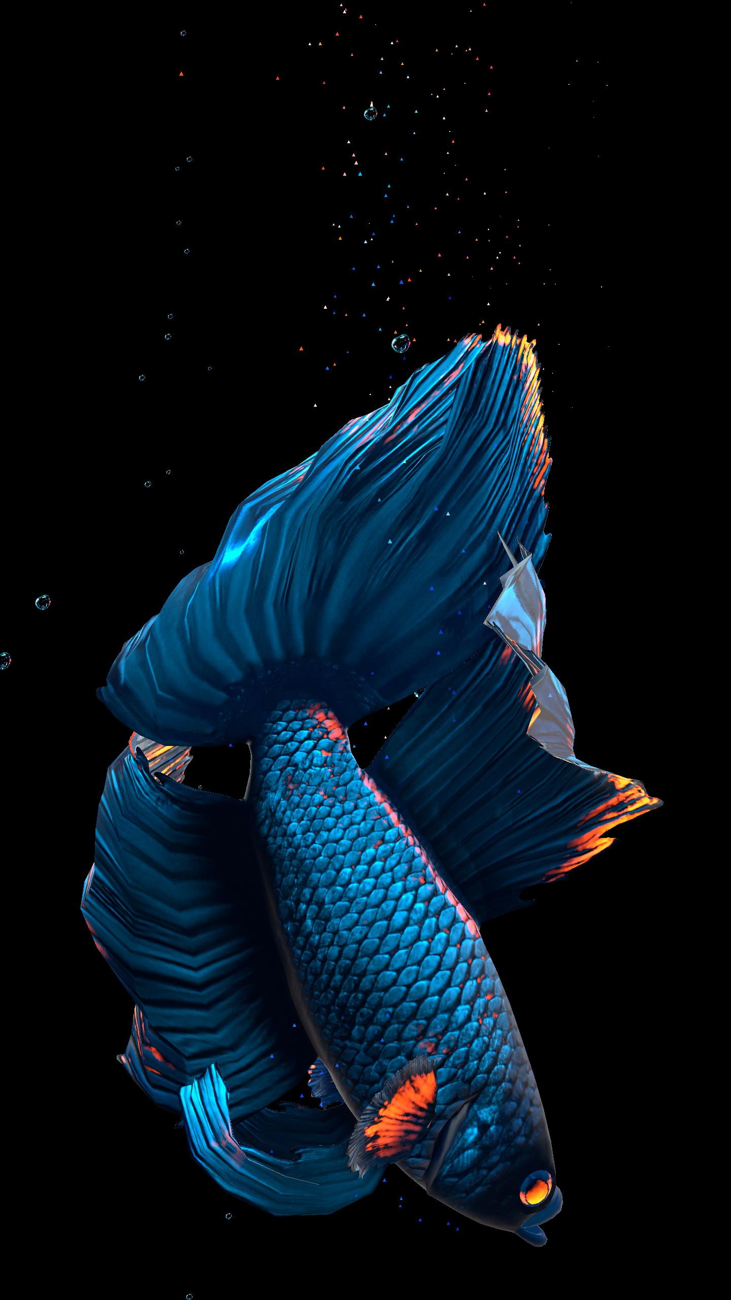 Betta Fish Live Wallpaper For Android Apk