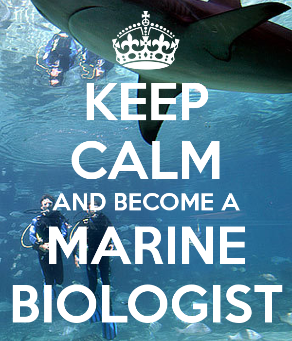 Gallery Marine Biology Wallpaper