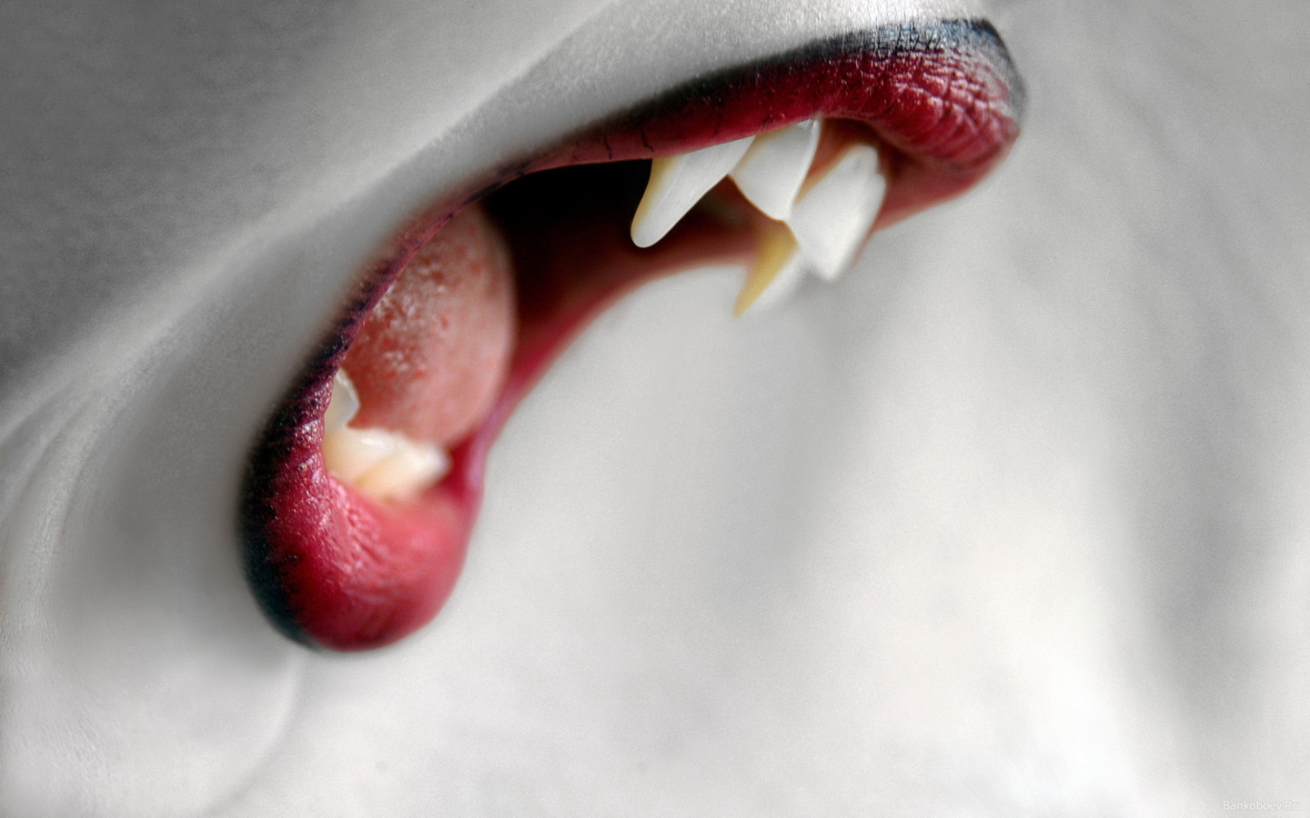 Vampires Vampire Teeth