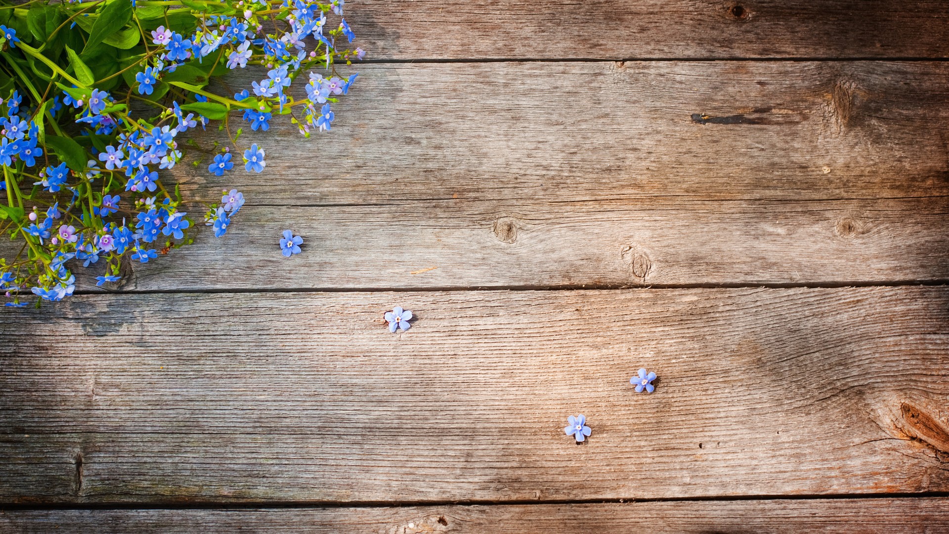 Bouquet On Wooden Table Wallpaper And Image Pictures