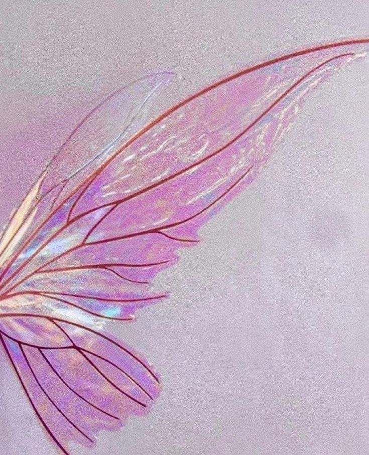 Aesthetic Wings Butterfly Fairy