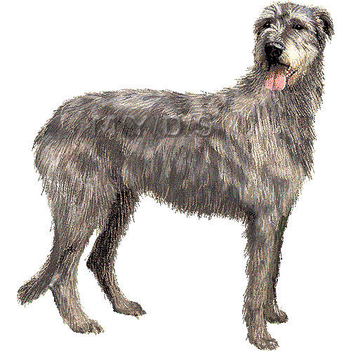Irish Wolfhound Clipart Graphics Clip Art