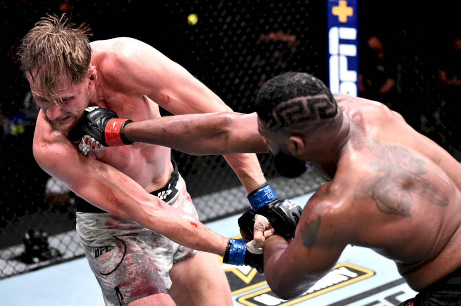 Wallpaper Curtis Blaydes