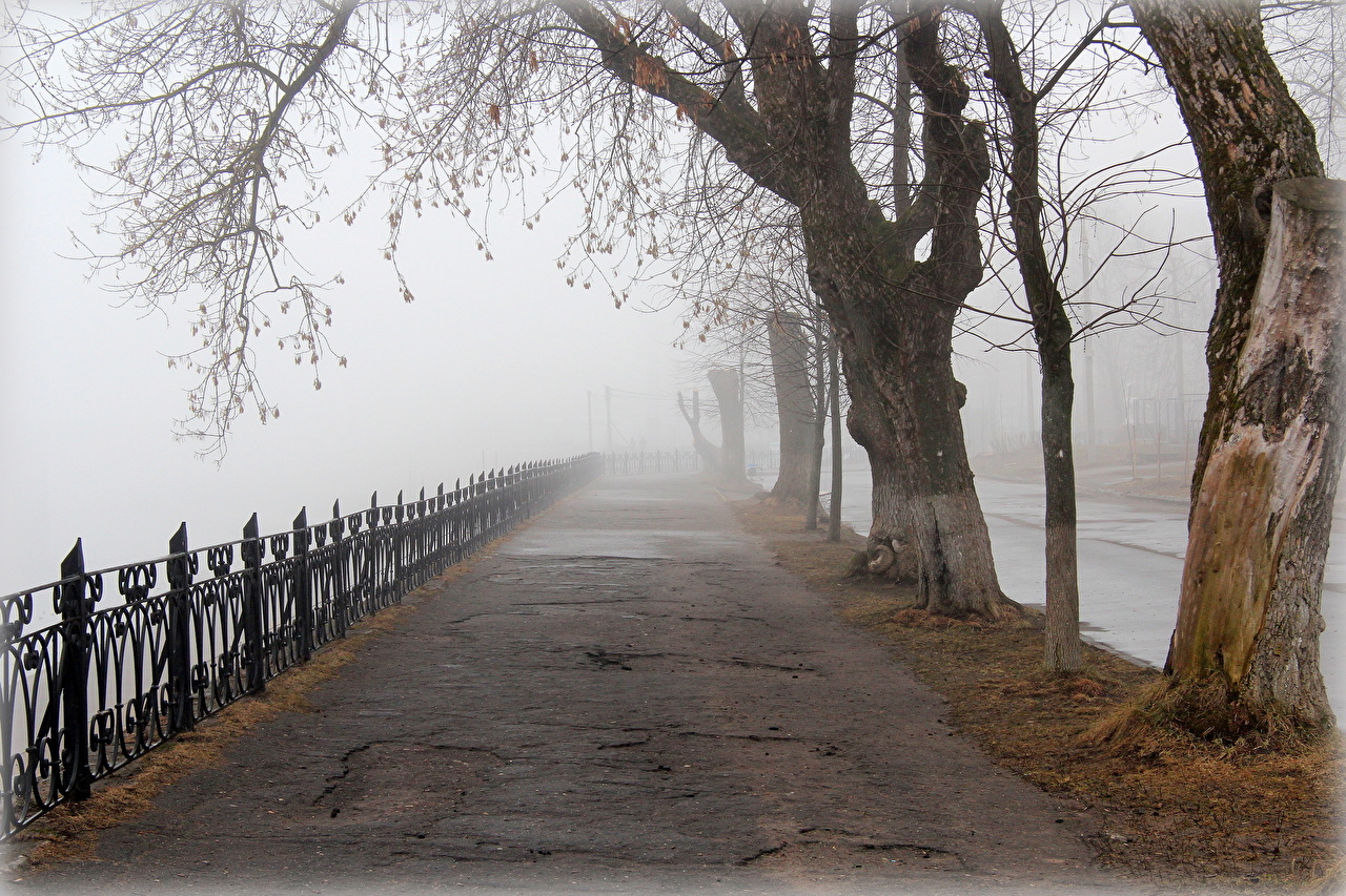 Wallpaper Fog Allee Spring Fence Trees Cities