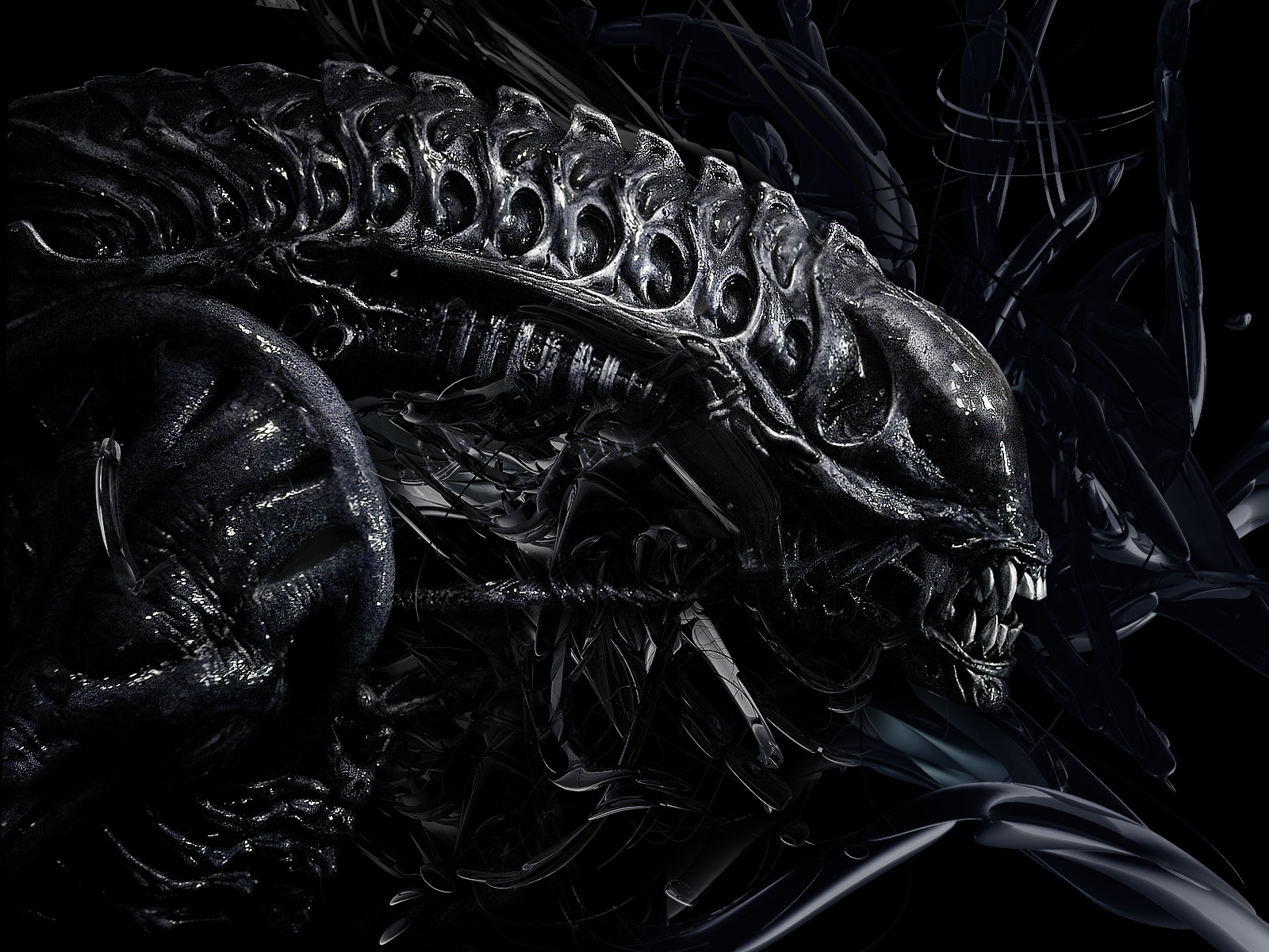 Alien Predator 3d Photography HD Wallpaper Stylish