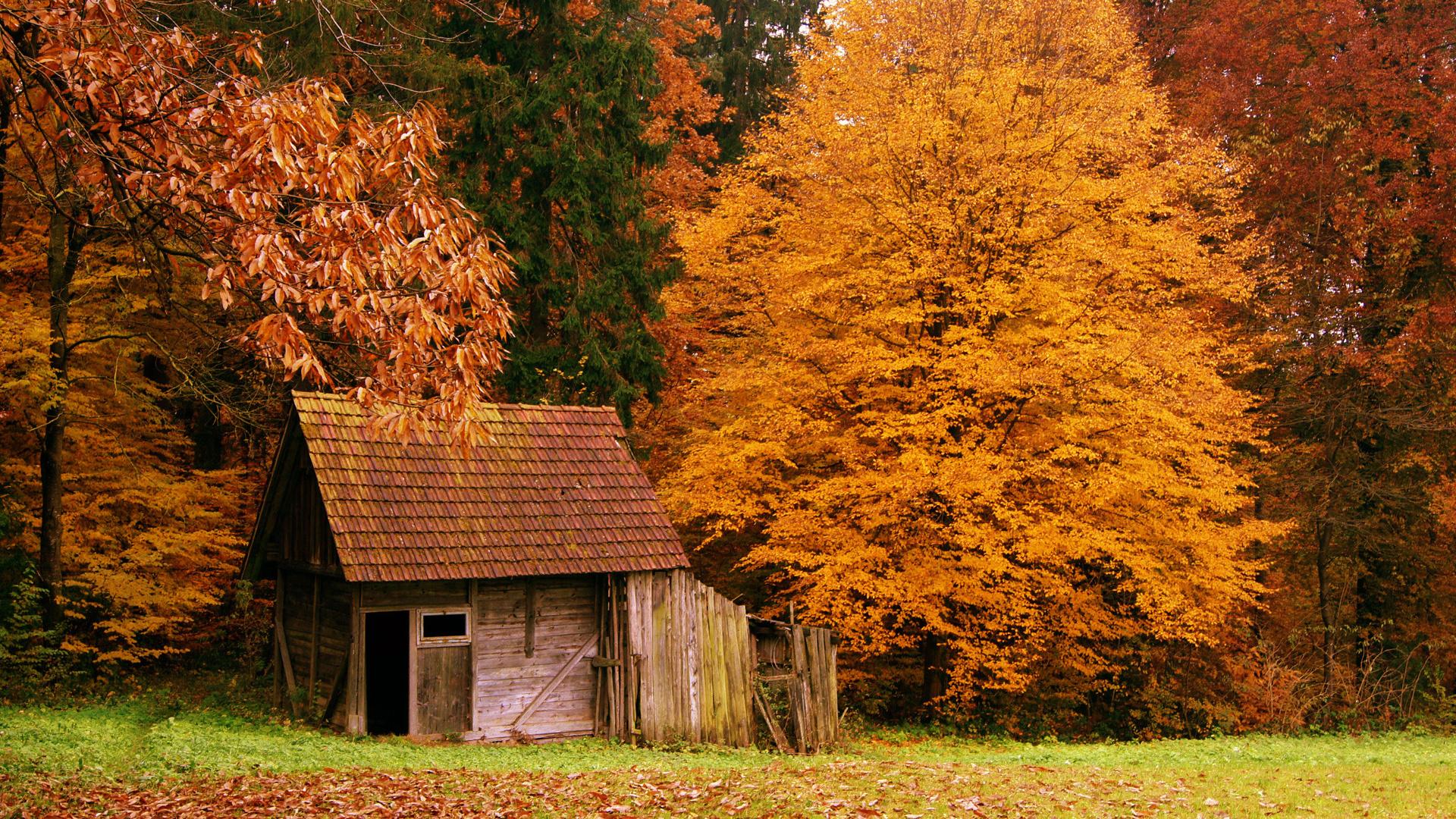 The Cabin In Autumn Woods HD Wallpaper