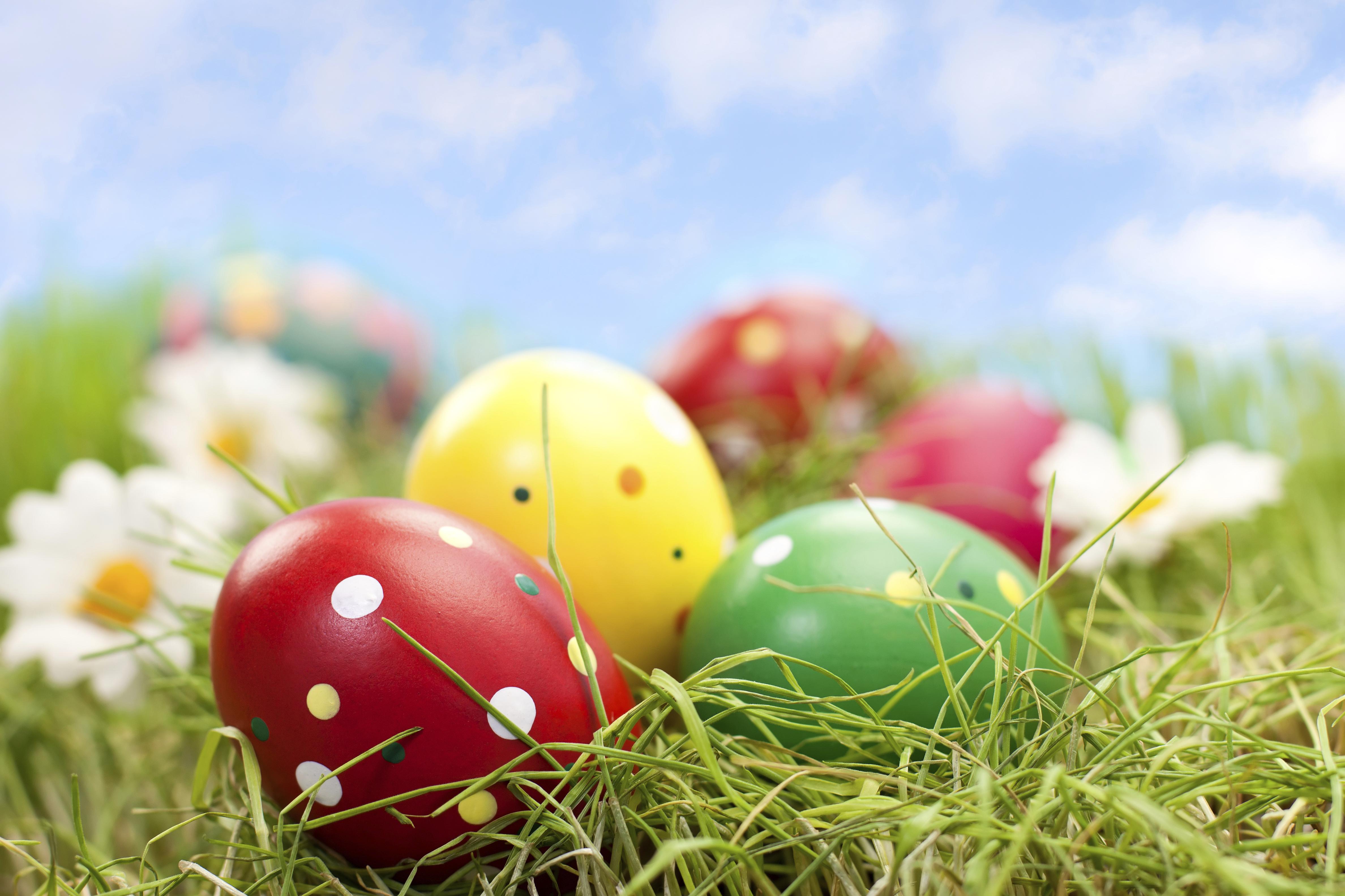 Easter In Orlando Find Things To Do Festivals