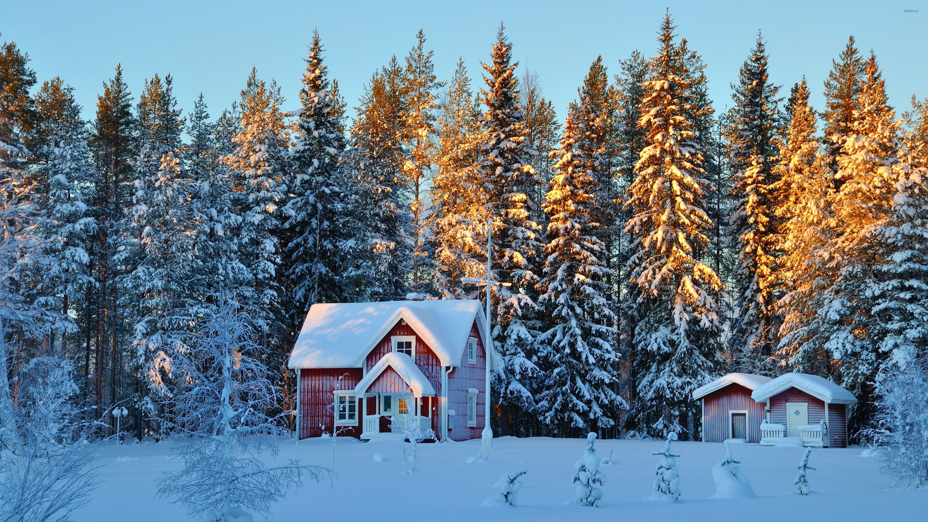 Small houses in the snowy forest wallpaper   Nature wallpapers 3840x2160