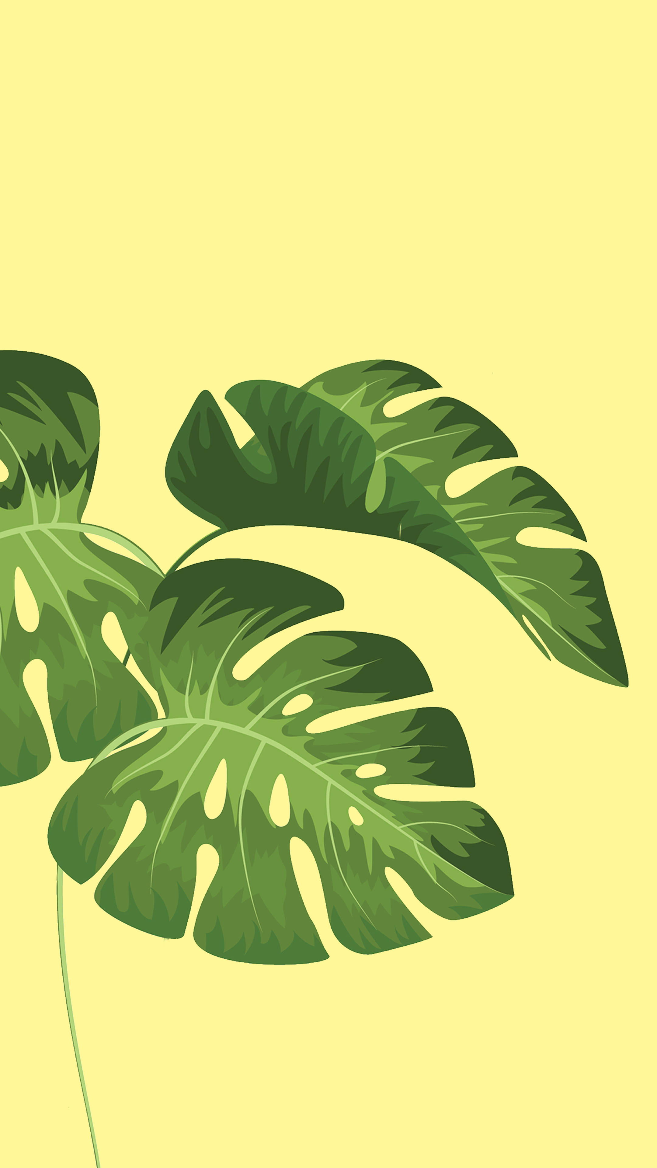 Minimalist Plant Wallpaper