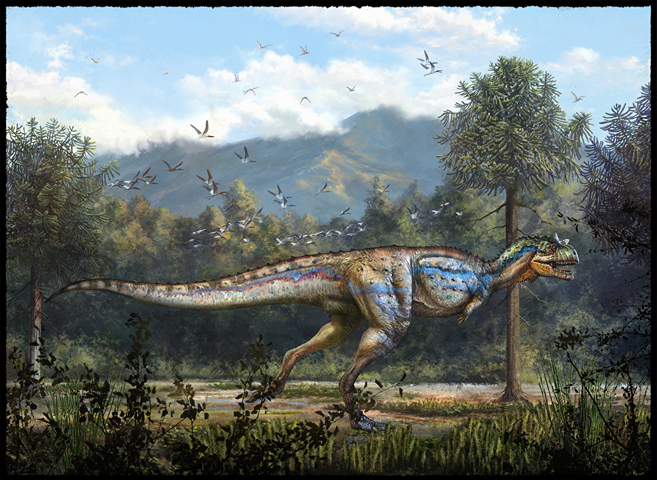 Wallpaper Dinosaurs Carnotaurus Animals Painting Art Ancient