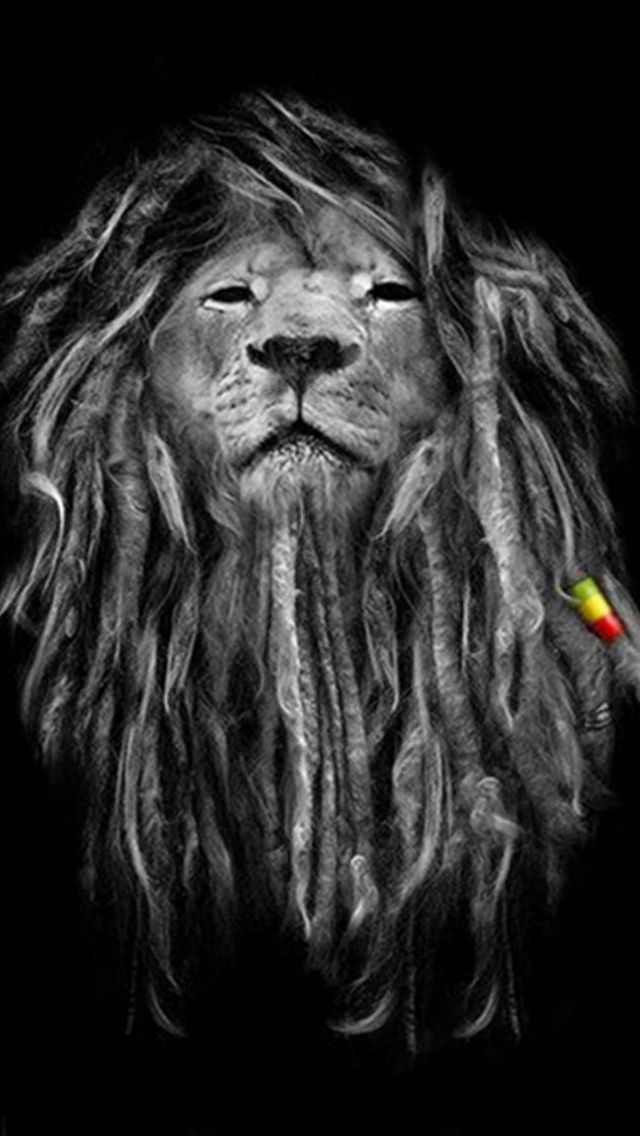 Rasta Lion iPhone Wallpaper Dreads
