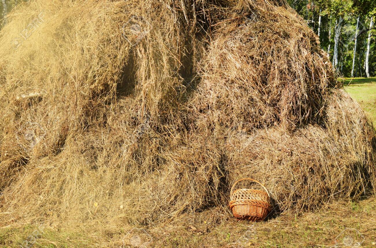 [35+] Haystack Background | WallpaperSafari