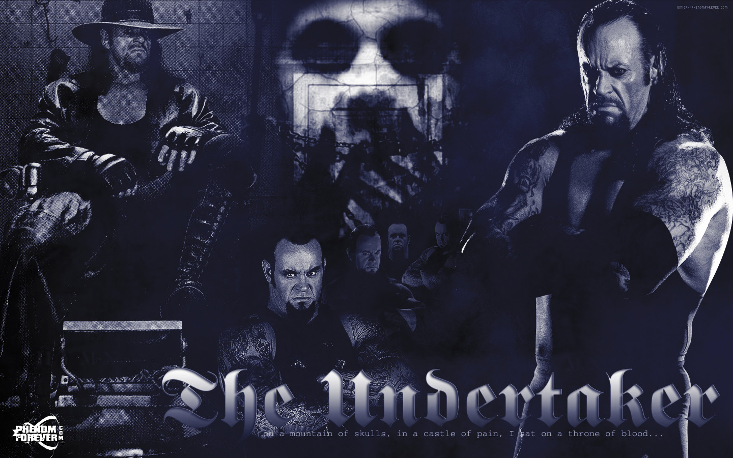 Undertaker Wwe Wallpaper Superstars Pictures