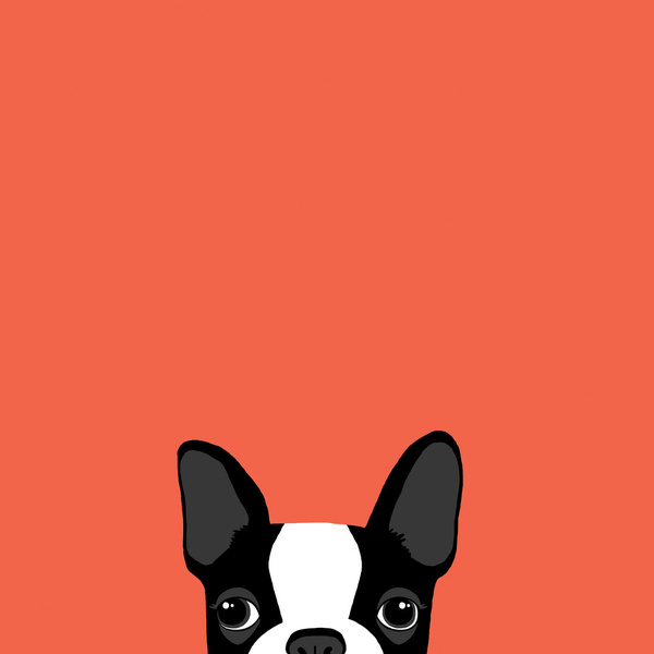 Boston Terrier Art Print By Anne Was Here Society6