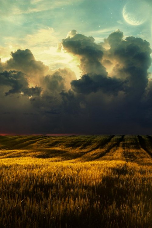 Best iPhone 4 HD Wallpaper Collection Creative Fan