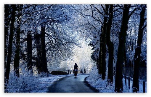 Winter Road Scene HD Desktop Wallpaper Widescreen High Definition