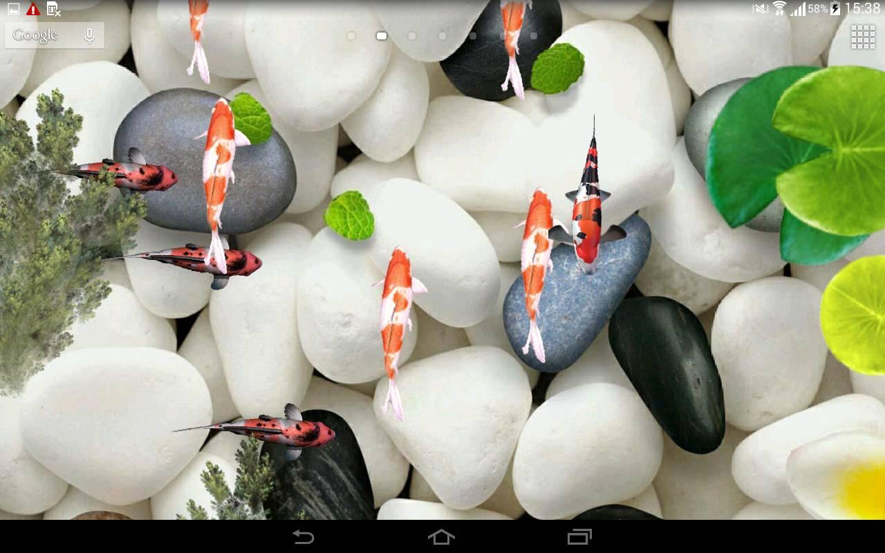 Koi Fish Live Wallpaper 3d For Android Apk