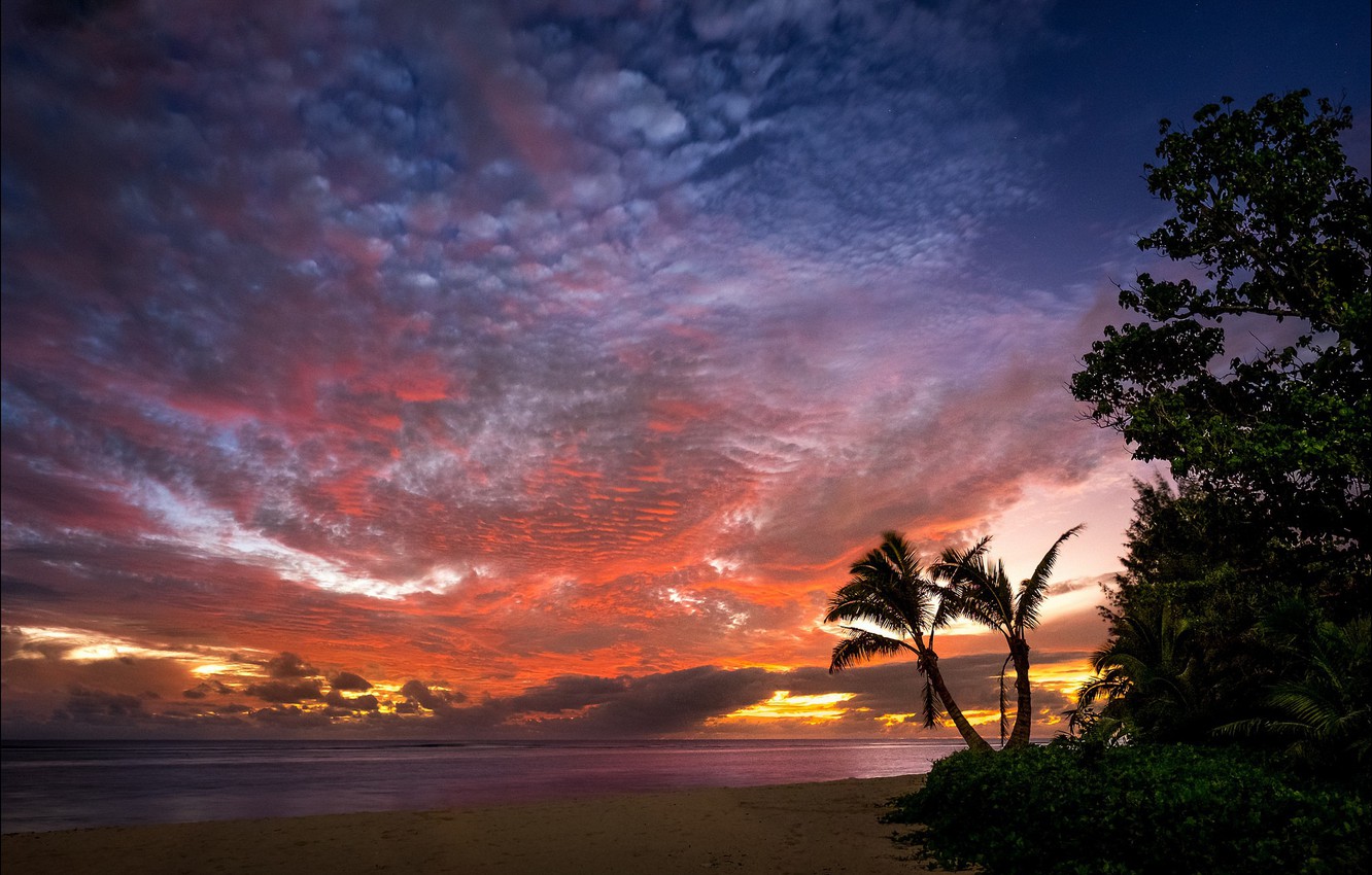 Wallpaper Sunset Palm Trees The Ocean Coast Rarotonga Cook