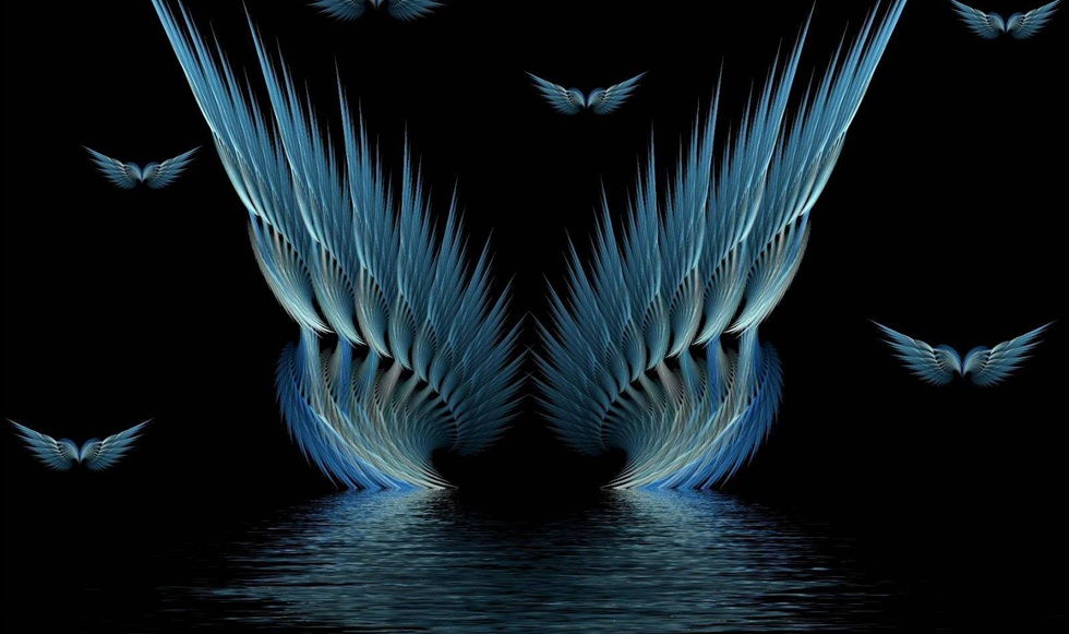 Blue Bird Feathers Reflecting On Water Desktop Wallpaper