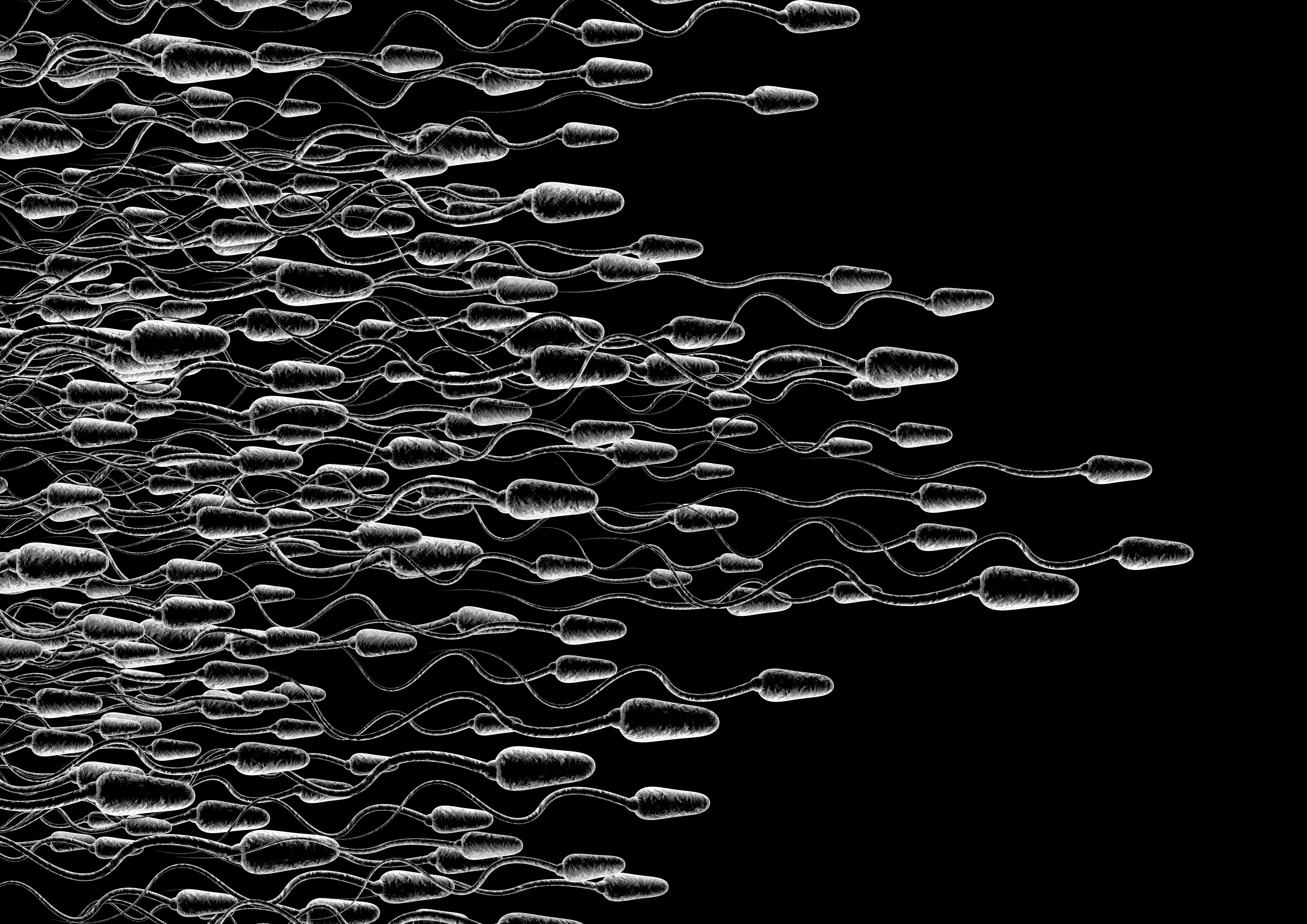 Sperm Abstraction Abstract Bokeh Life Sex Sexual Medical