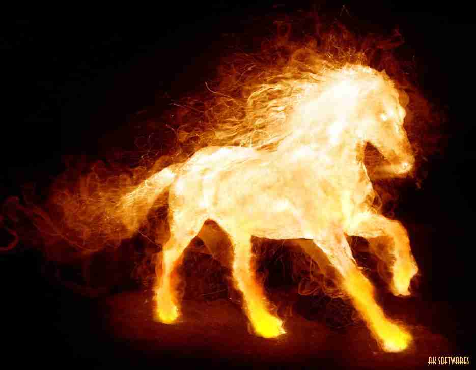 Android Phones Wallpaper Fire Horse
