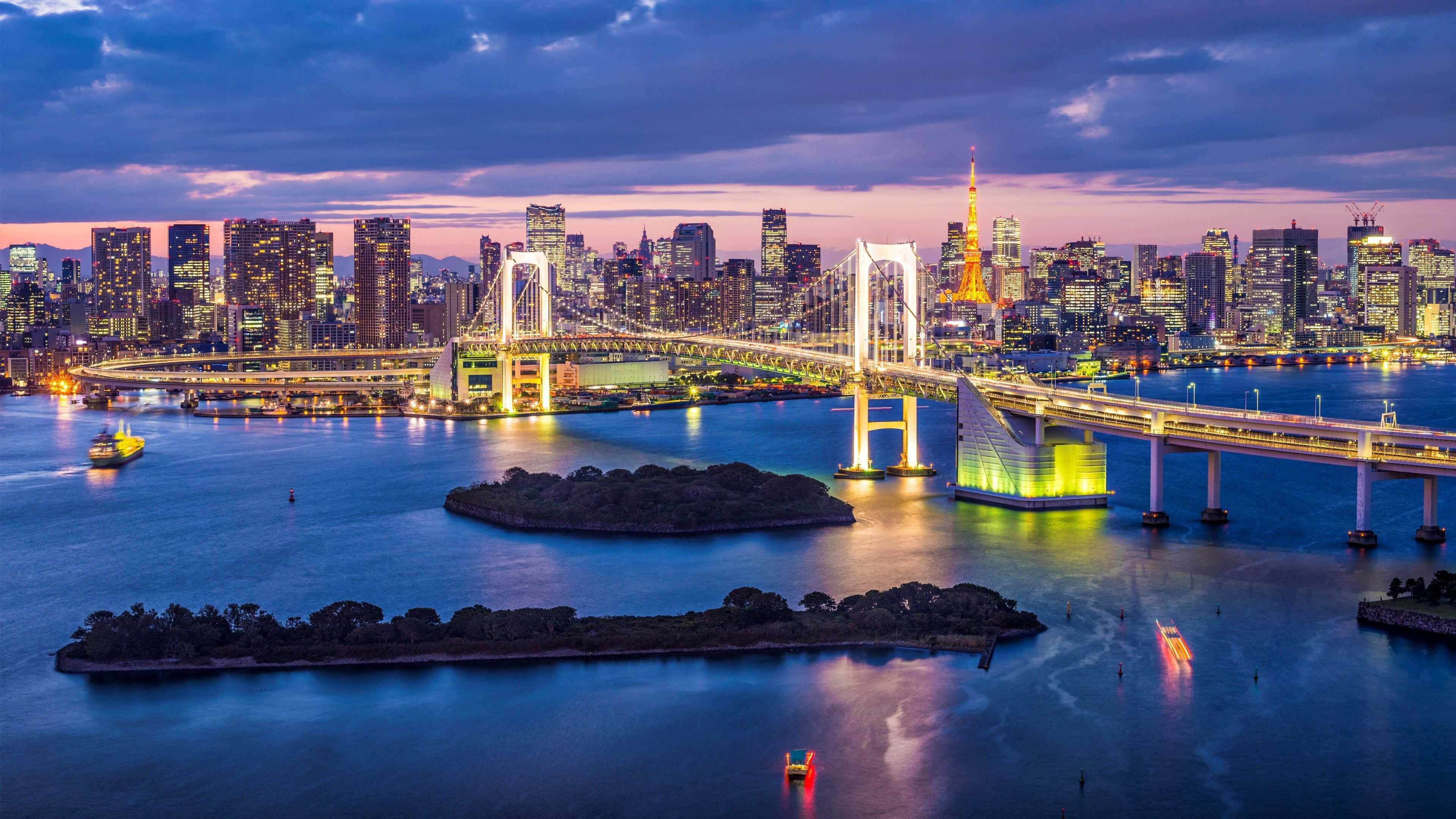 Stunning 4K wallpaper of Tokyo skyline at night with Rainbow Bridge illuminated, showcasing Tokyo Tower and modern architecture
