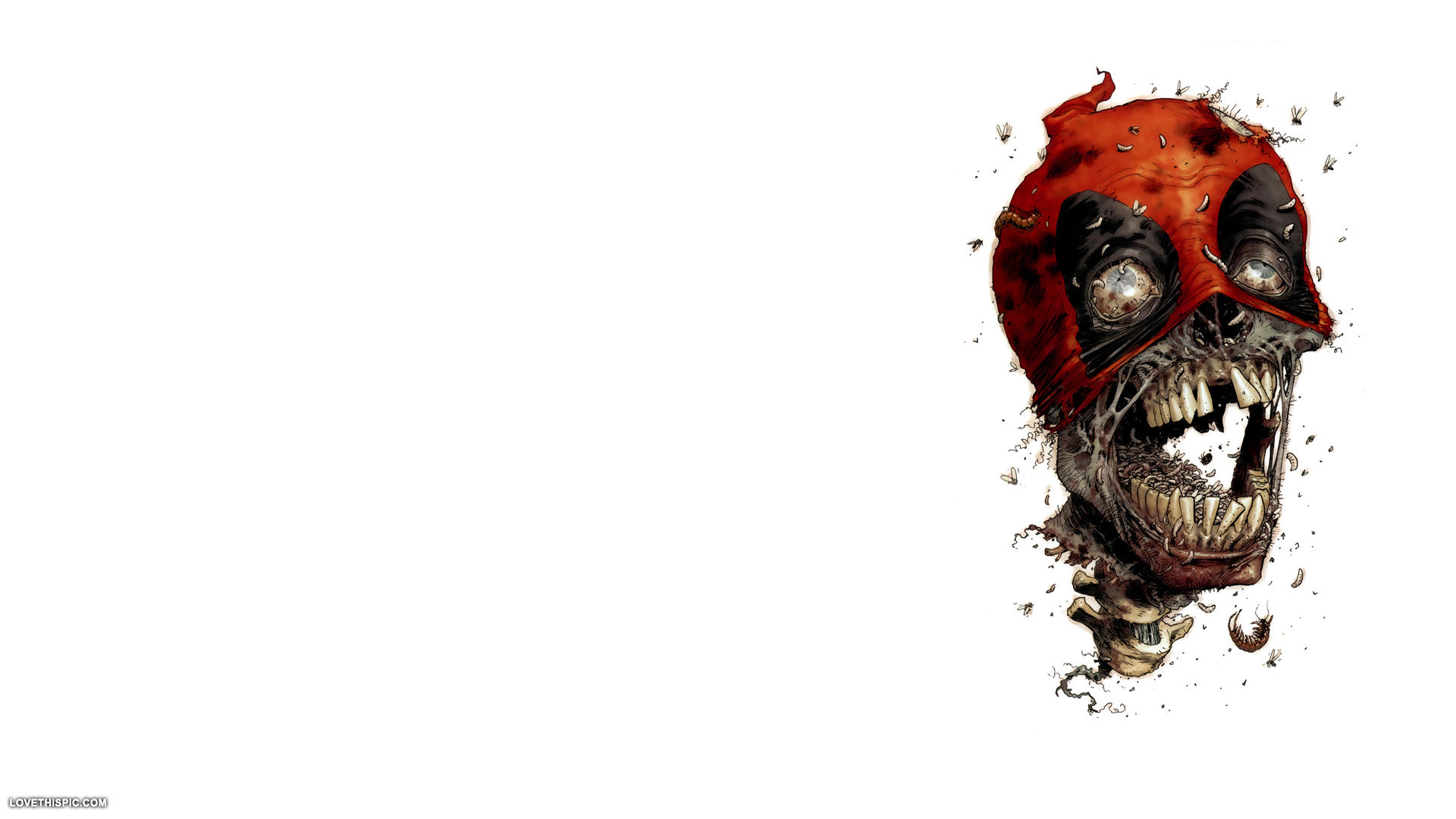 Rotting Skull Pictures Photos And Image For