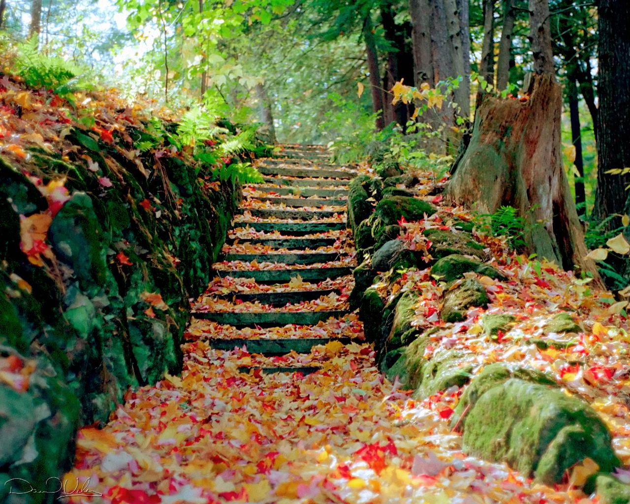  Download Autumn Season HD Wallpaper By benjaminwhite Fall Season 