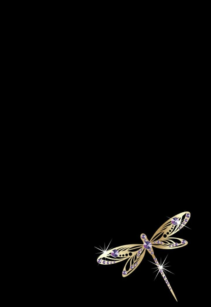 C G Dragonfly Wallpaper Background Phone