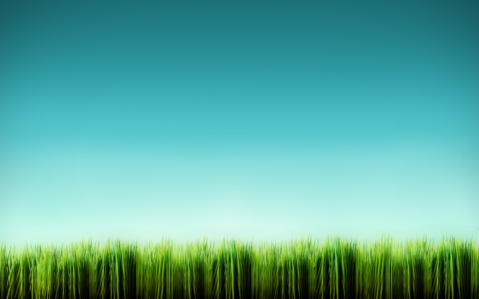 Sky Grass Cool Background