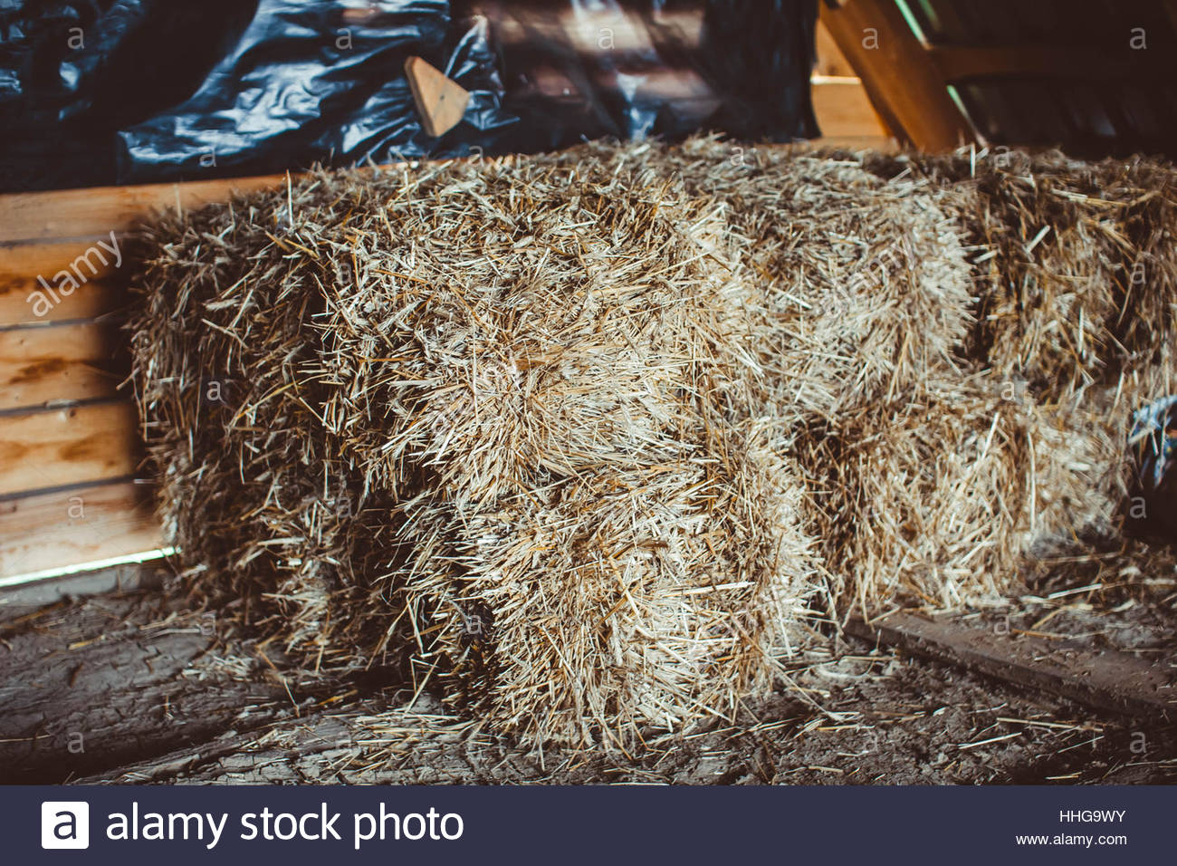 Bale Of Hay Isolated On A White Background As An Agriculture Farm