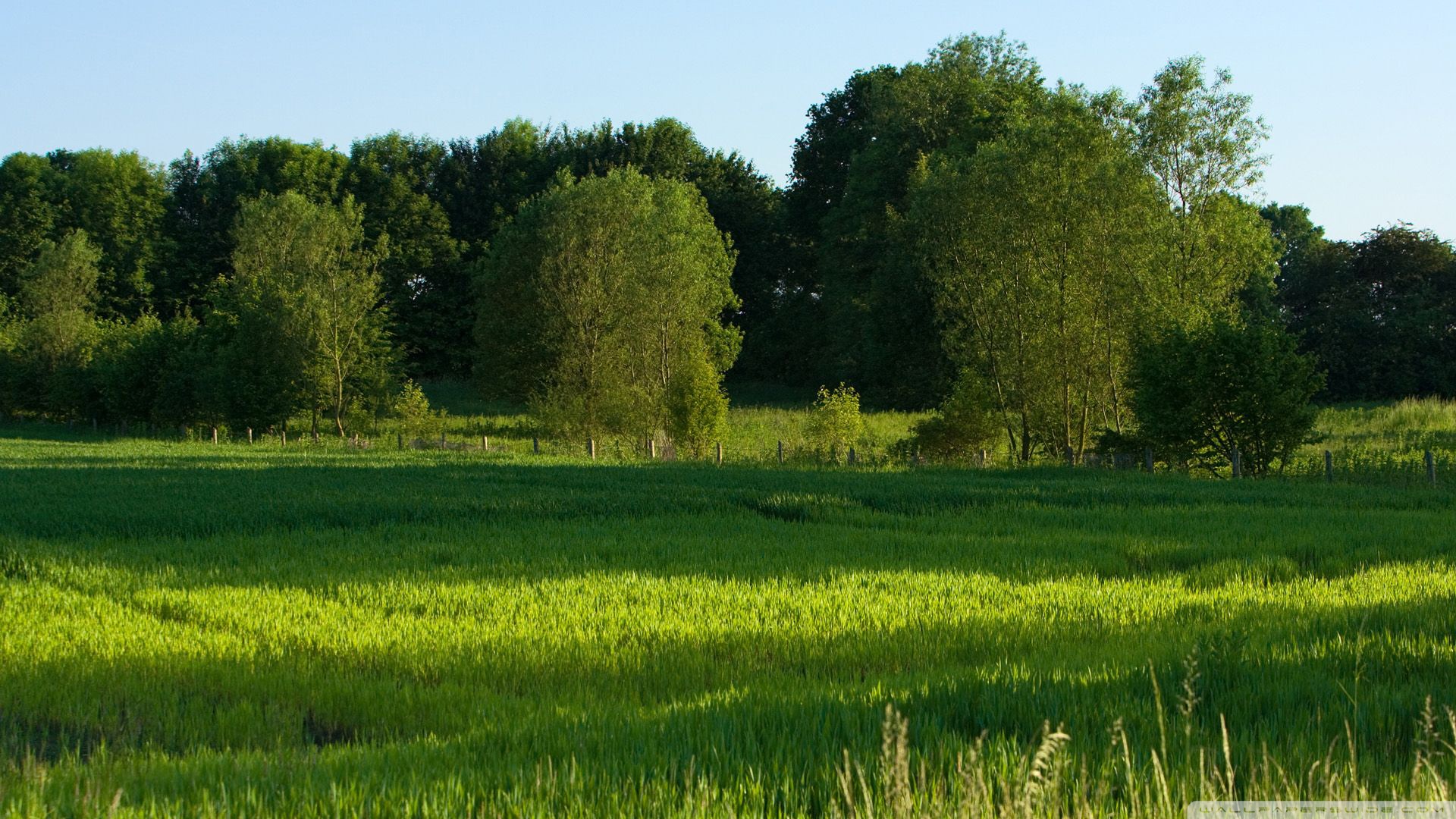 Landscape Nature Wallpaper Summer