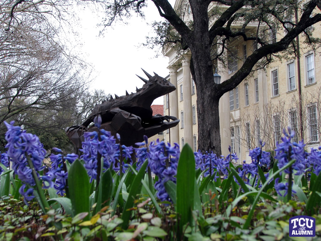 Tcu Wallpaper Browser Themes More For Horned Frog Fans