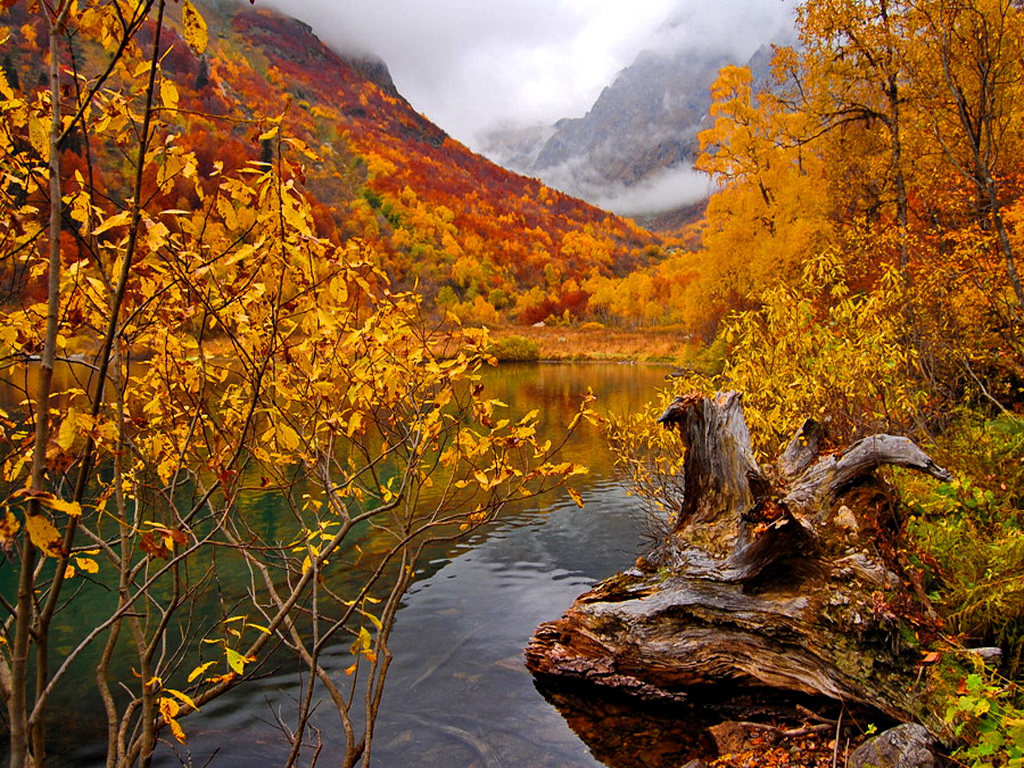 Autumn Mountain River Wallpaper