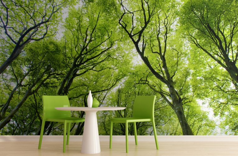 Bright Green Canopy Forest Wall Mural Muralswallpaper Co Uk