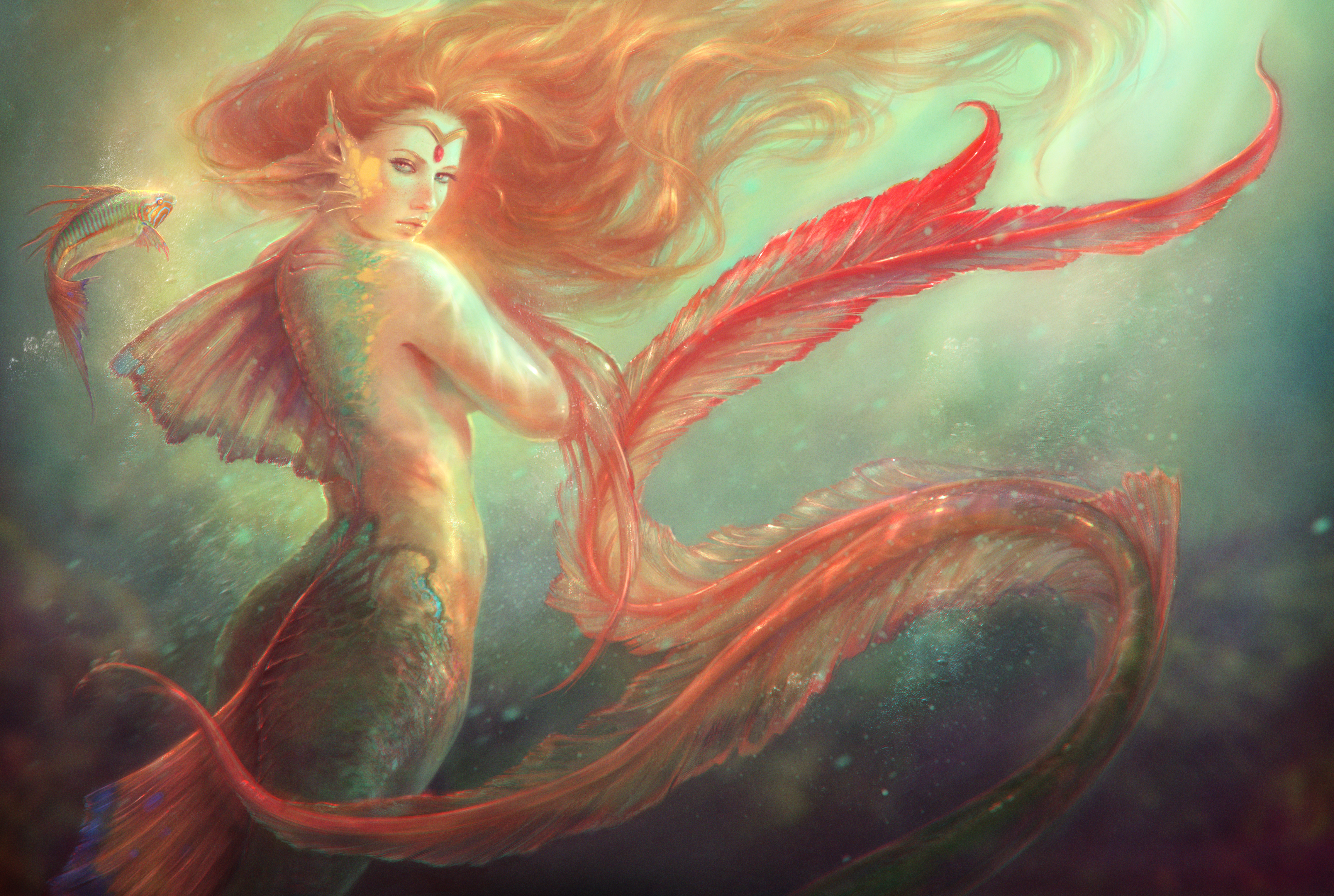 Mermaid Fish Red Hair Tail Fins Scales Wallpaper