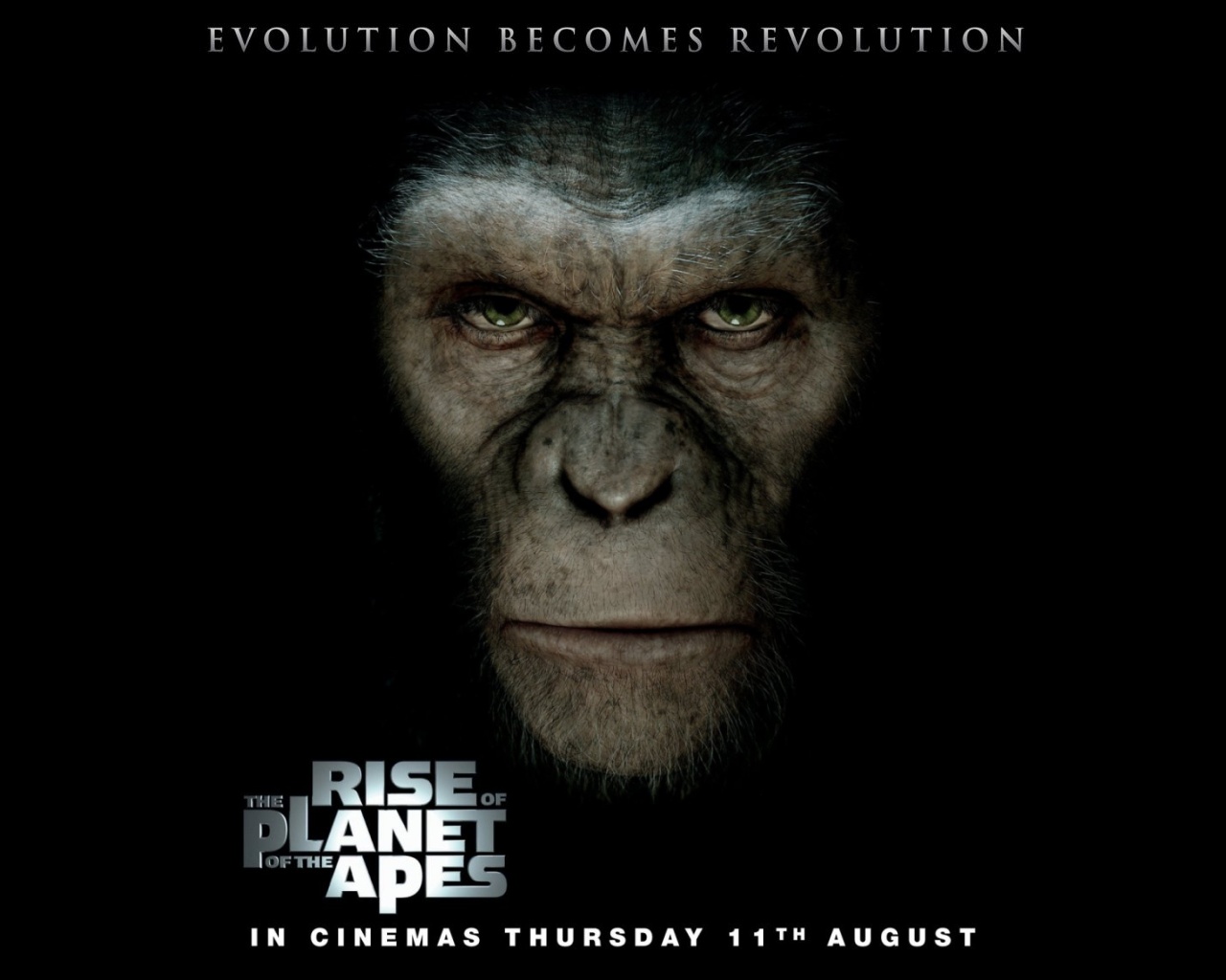 Movies Wallpaper Rise Of The Pla Apes HD