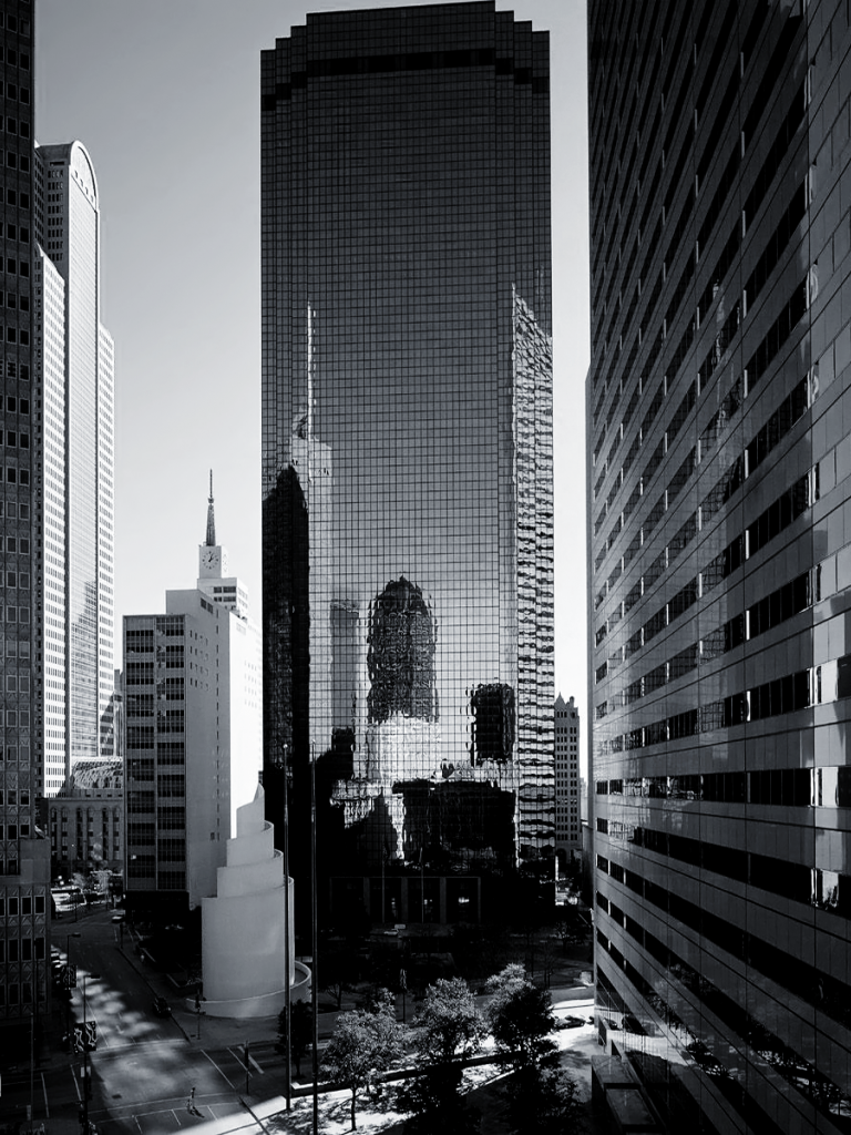Free download Black and White Dallas Skyline wallpaper The New New 768x1024