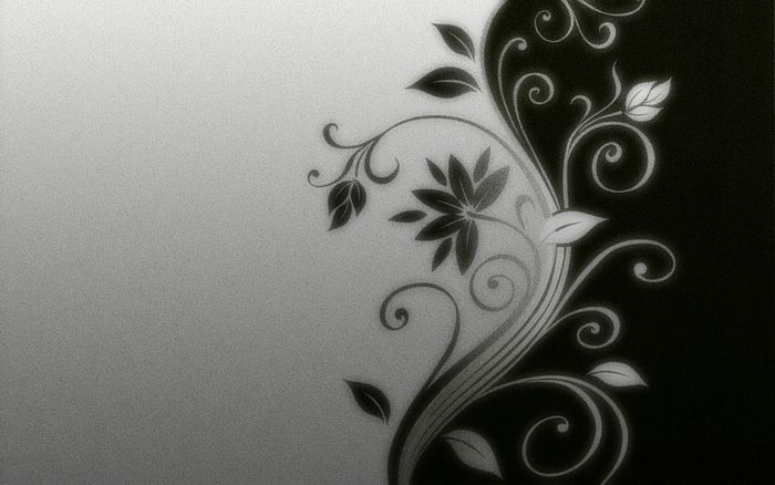 Graphic Design By Mucu Black And White Abstract Flowers Wallpaper