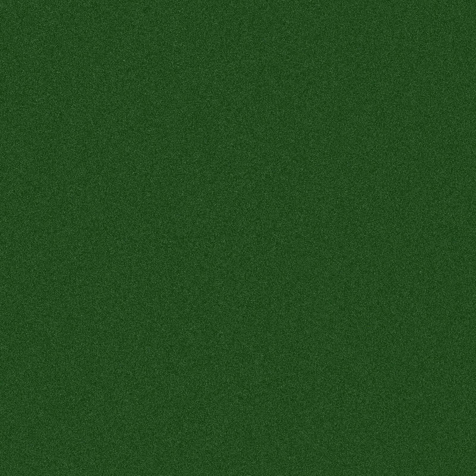 Velvety Texture Plain Dark Green Wallpaper