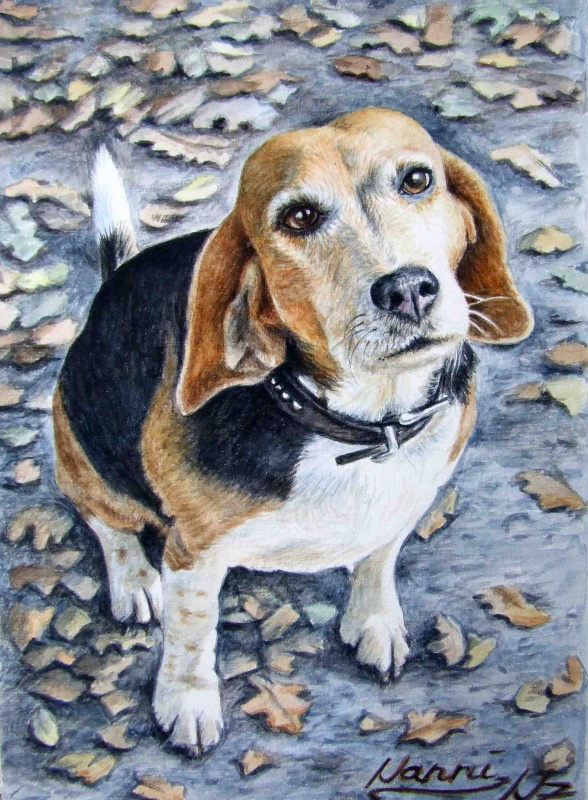 Beagle Nanni Klassische Malerei Hund Hundeportrait