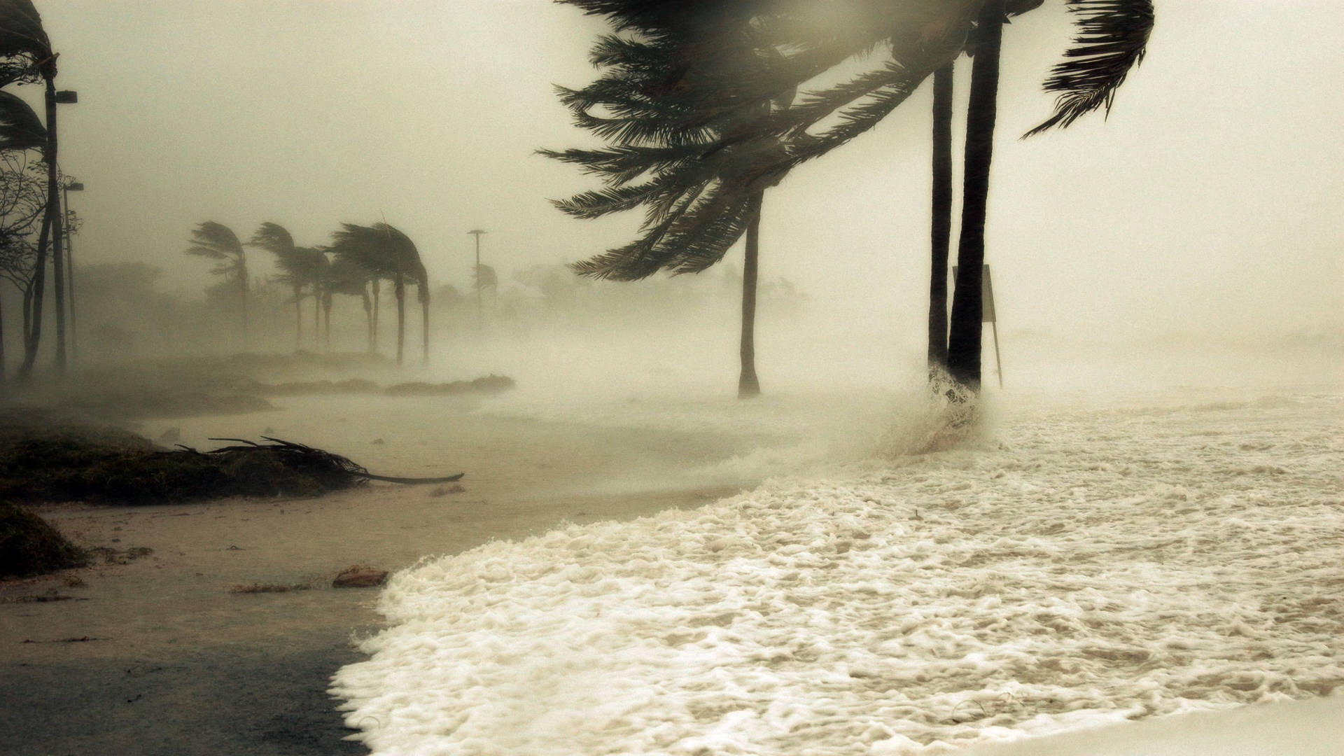 Hurricane By The Seashore O0ru11x1bsqzwcak Wallpaper