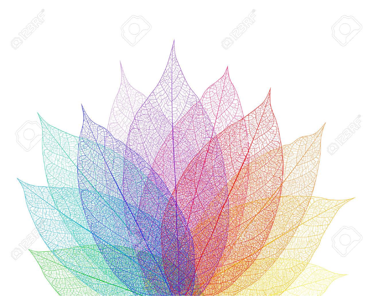 Leaf Abstract Background Vector Macro Art Illustration Royalty