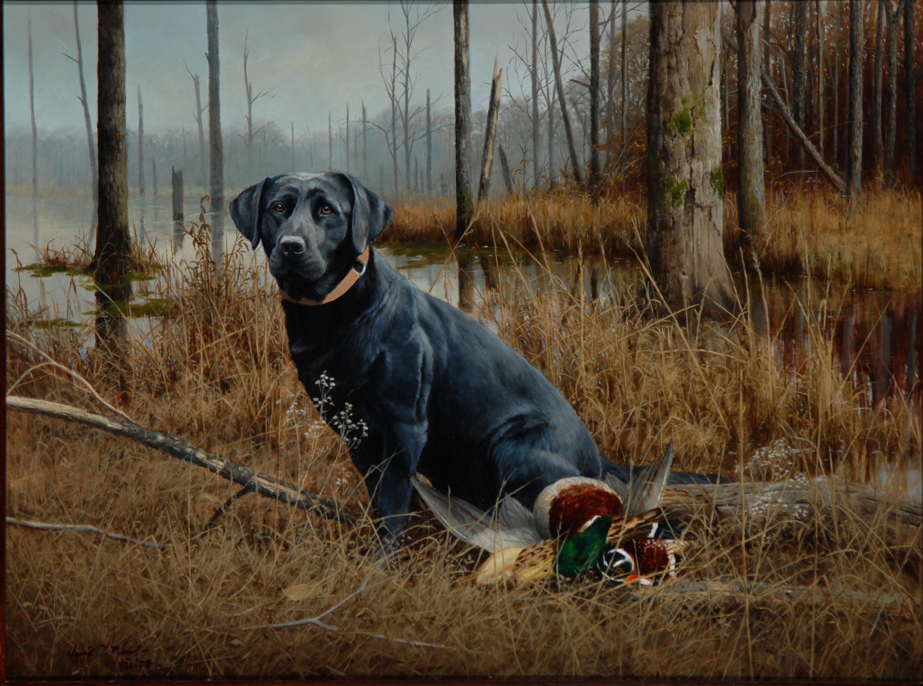 Ducks Unlimited Paintings Get Domain Pictures Getdomainvids