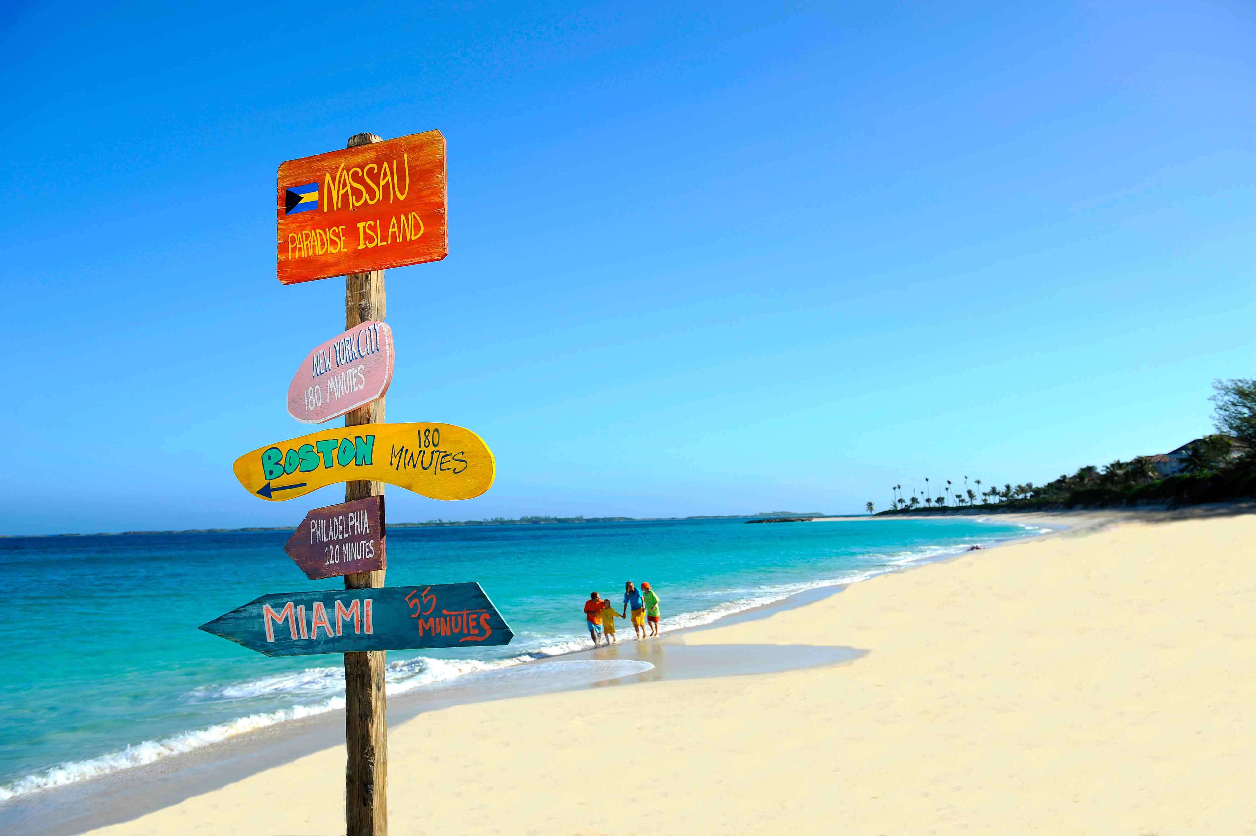 Bahamas beach palm HD phone wallpaper  Peakpx