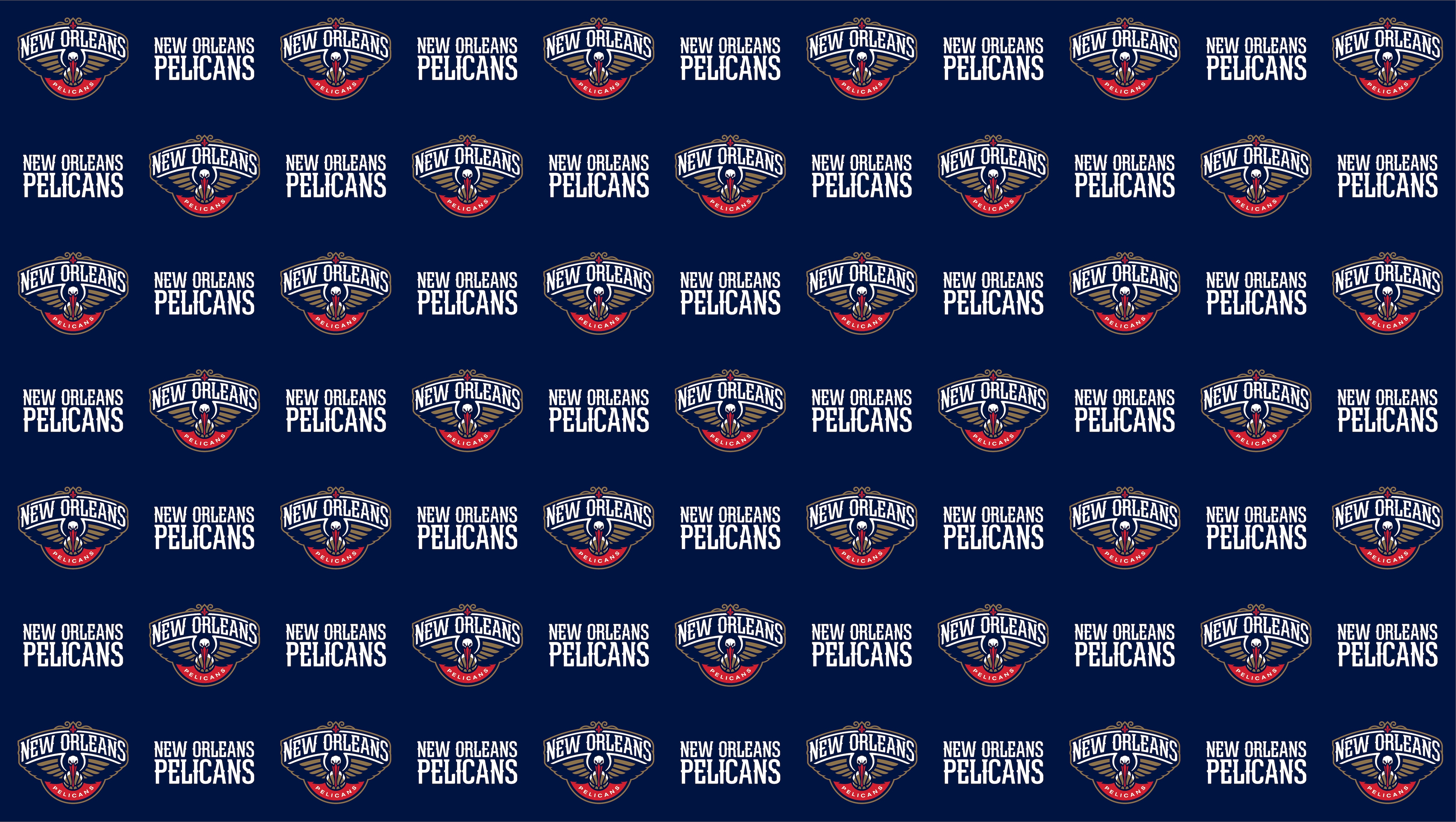 Video Conference Background For Pelicans Fans Working Remotely