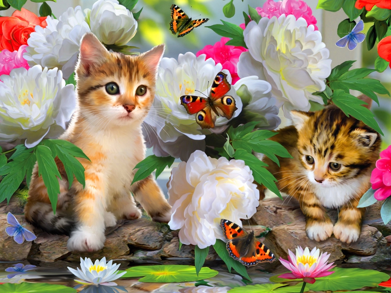 Cats Fun Among Flowers Abstract Other HD Desktop Wallpaper