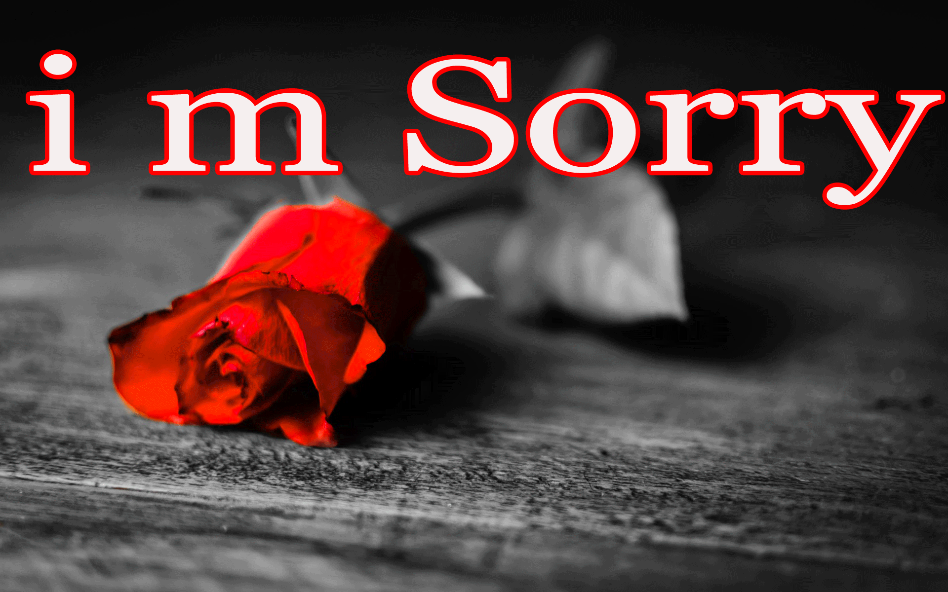 I Am Sorry Image Wallpaper Photo Pics Red Rose Dark