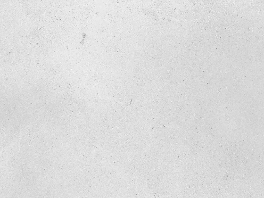 Background Texture White Wallpaper